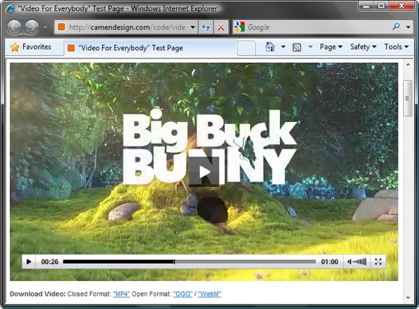 Screenshot of Internet Explorer 8 playing video using Adobe Flash